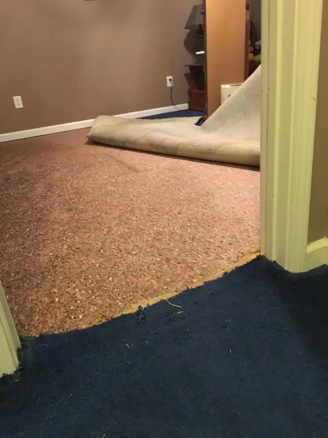 Carpet pad removal revealing water damage during Drying & Dehumidification in Blue Ash